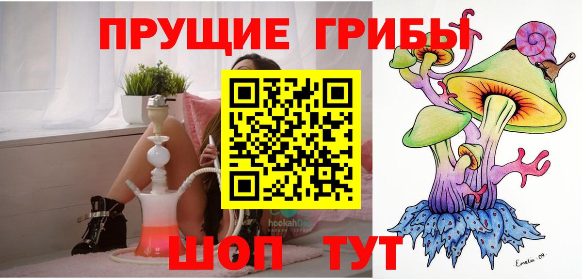 Тамбов  Псилоцибиновые грибы MAGIC MUSHROOMS  Вход с VPN  Псилоцибиновые грибы Psilocybe 